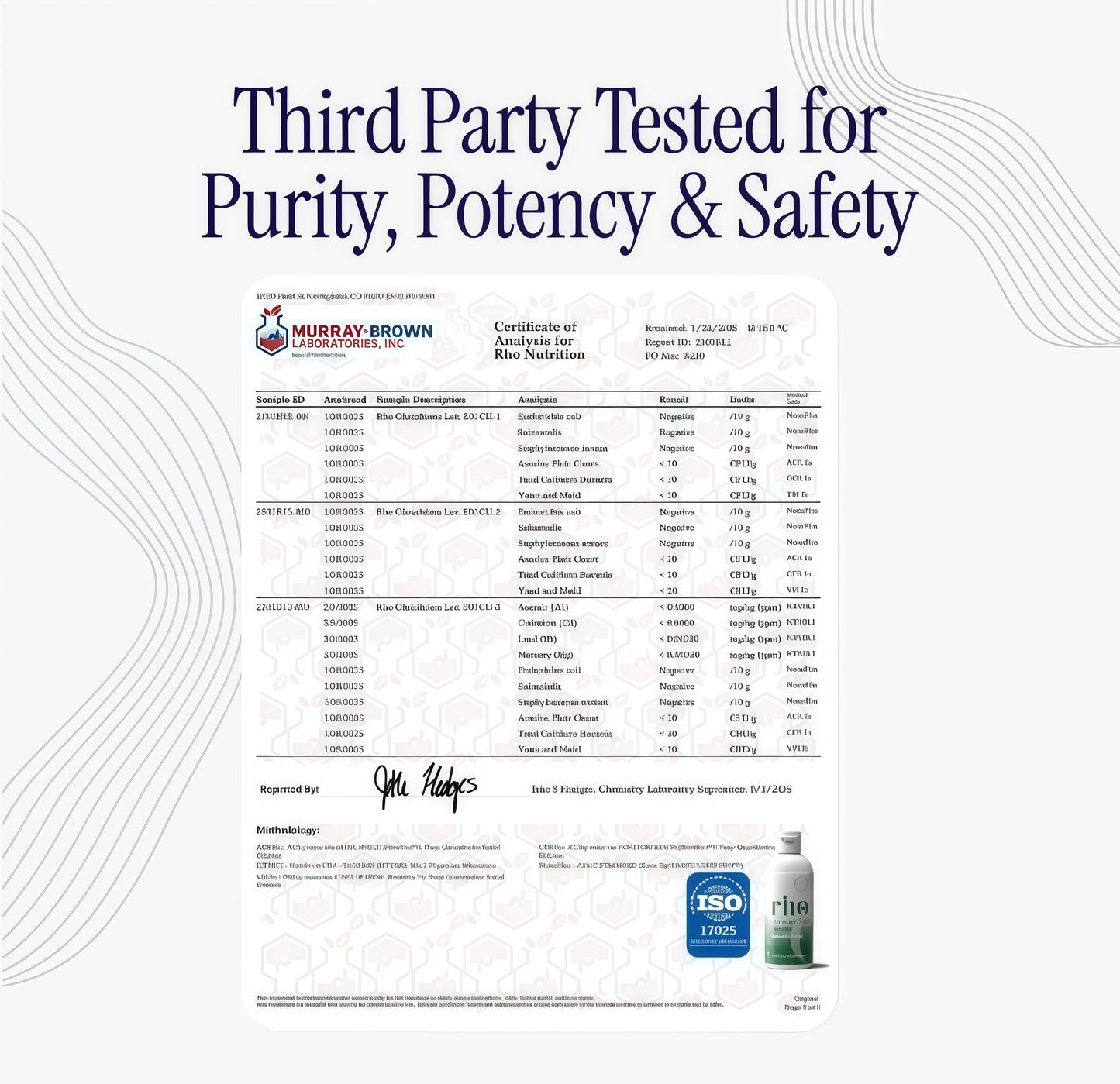 Rho Nutrition Liposomal Glutathione -Uitra High Absorption LiquidGlutathione Supplement -S