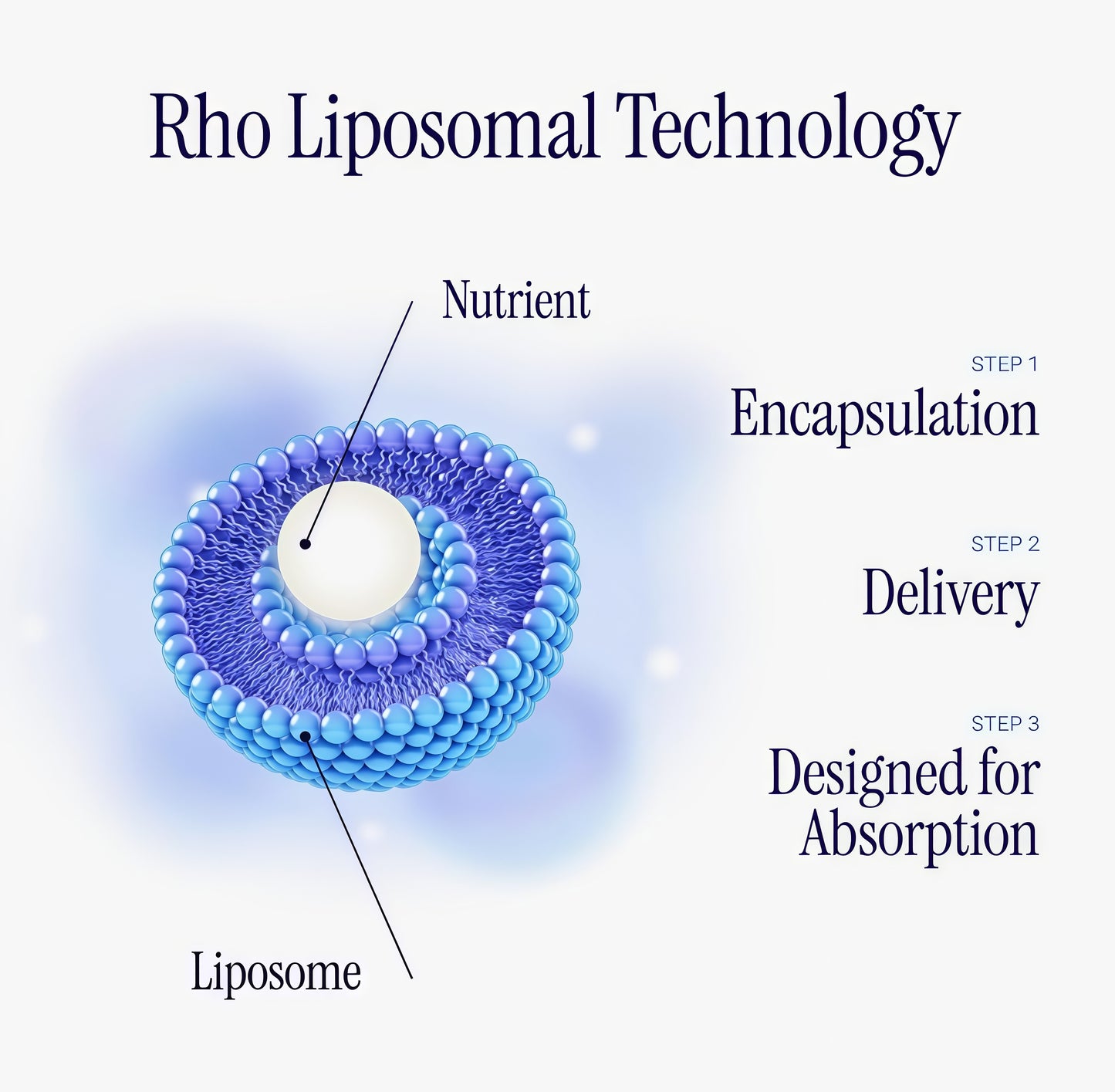 Rho Nutrition Liposomal NAD+-LiquidSupplement Designed to Help supportAbsorption-Active